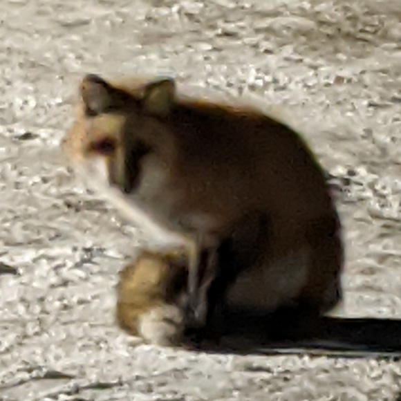 Meet your Posher, Stephen - Picture 1 of 1